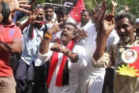 dmk celebration